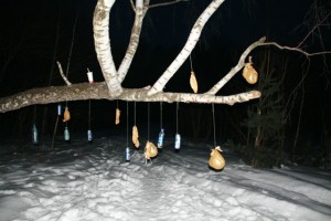 Импровизированный тир